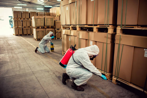 Best Flea Control Services  in Bethany, IL