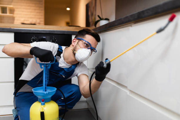 Best Best Pest Control Companies  in Bethany, IL