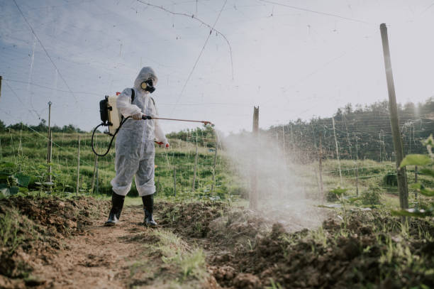 Best Local Pest Control Services  in Bethany, IL