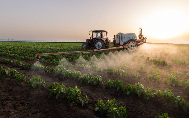 Best Best Pest Control Companies  in Bethany, IL