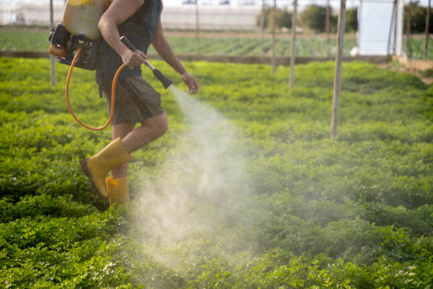 Best Pest Inspection Near Me  in Bethany, IL