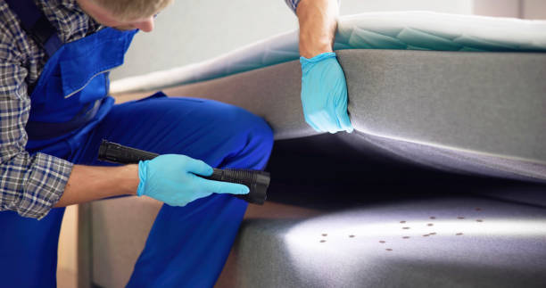 Best Residential Pest Control  in Bethany, IL