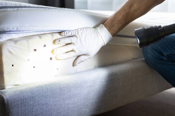 Best Pest Control Near Me  in Bethany, IL