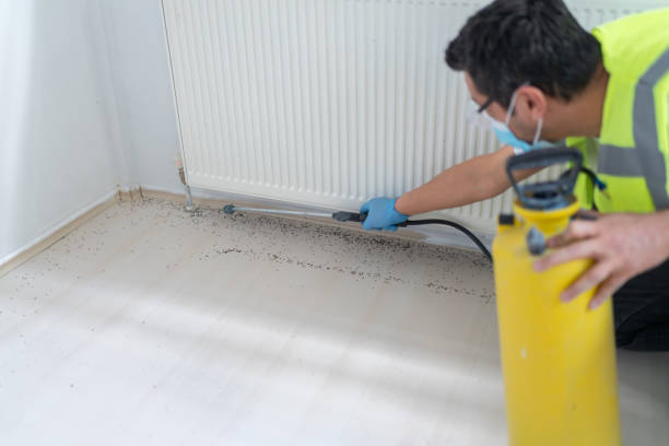 Best Pest Prevention Services  in Bethany, IL