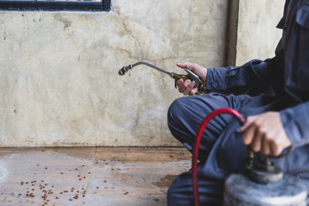 Pest Prevention Services in Bethany, IL
